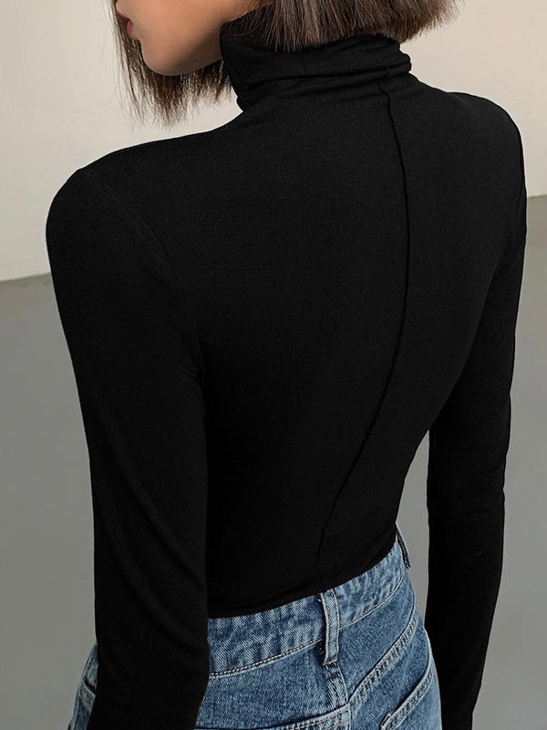 Slim Fit Turtleneck