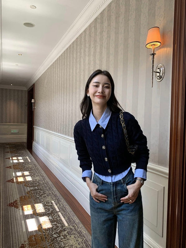 Blue Stripe Cropped Shirt